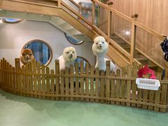 -藦茜花园宠物主题亲子互动体验馆(国顺东路店)