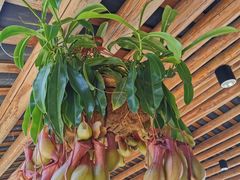 -顺德了能馆(虎门店)