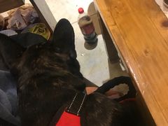 -骉骉老火锅(水杉街店)