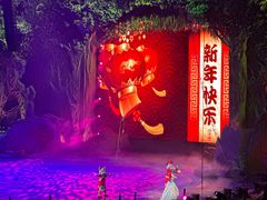 -广州长隆国际大马戏