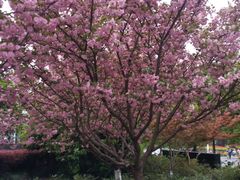 -来伊份1038(新村路三店)