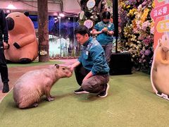 -正佳雨林生态植物园