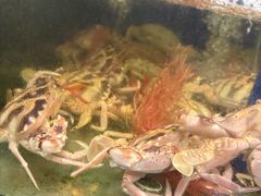 -这片海·海景餐厅(博鳌店)