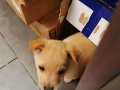 -三生小馆(亭知路店)