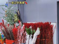 -溪岸路花鸟市场