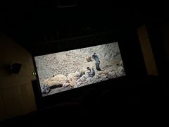 -CMC大光明影城(莲花店)