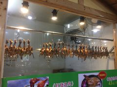 -一煲鸽