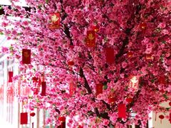 -普陀山雷迪森庄园
