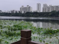 -南宁南湖公园