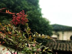 -白鹿洞书院