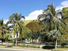 -亚龙湾亚泰商业街