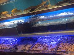 -喜庭海鲜自助(来福士店)