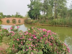 -白鹭湾湿地公园