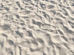 -南宁花花大世界景区