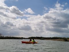 -春花秋色城市公园