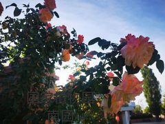 -国家植物园南园