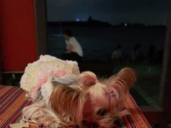 -甘尼仕印度餐厅爵士酒吧(阳春巷店)