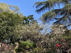 -成都武侯祠博物馆