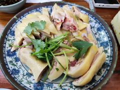 -九斤黄三黄鸡专卖店