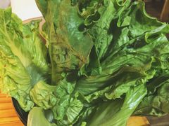 生菜-丹东特色烤肉(南光三部店)