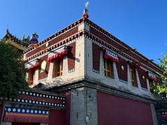 -塔尔寺菩提树