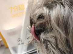 -7分甜(苏州中心店)