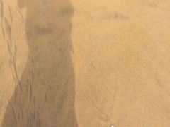 -普陀山风景名胜区-千步大沙