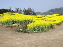 -牛街螺丝田
