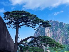 -黄山风景区