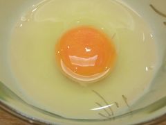 -一本钓鲔鱼屋