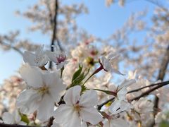 -西北湖绿化广场