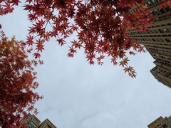 -春申里餐厅(银泰in99店)