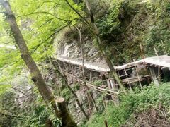 -鹿院坪生态旅游景区