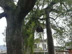 -新安江山水画廊风景区