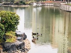 -梧桐人家中国太平国际健康颐养社区