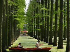 -渌洋湖湿地公园