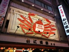 -蟹道乐(道顿堀本店)