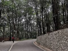 -三门江国家森林公园