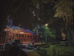 -望江楼公园
