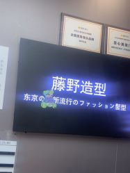 -藤野造型烫染