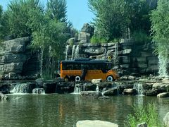 -北京野生动物园