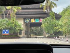 -呀诺达热带雨林