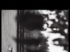 -怪咖·joker陈楠