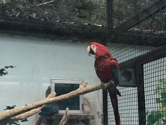 -沈阳森林动物园