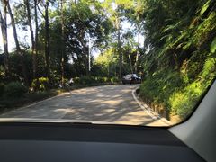 -广州市帽峰山景区