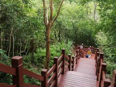 -广州白江湖森林公园