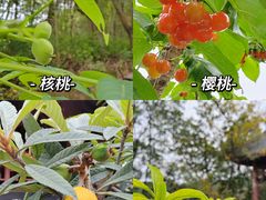 -金堂县云顶石城风景区