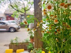 -五进制 Coffee Shop