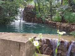 -仙店农庄(湖景农庄餐厅)