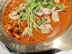 田鸡-重庆火锅水库鱼庄(南油店)
